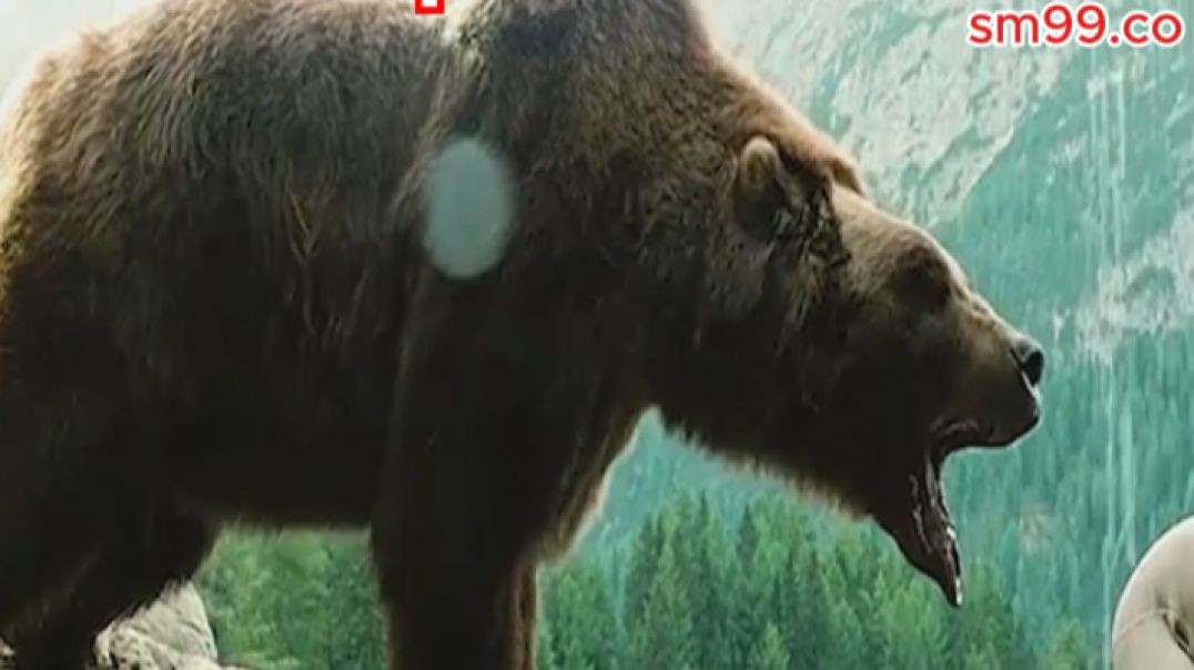 ខ្លាឃ្មុំនិងអ្នកប្រមាញ់..!!!