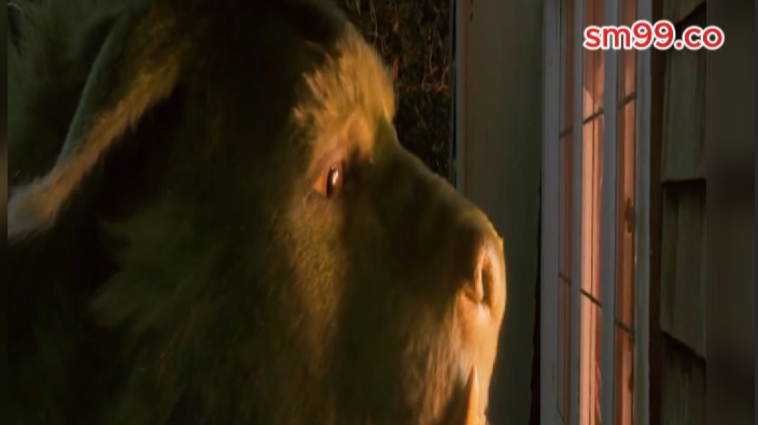 នាគយក្សរោមបៃតង..!!!